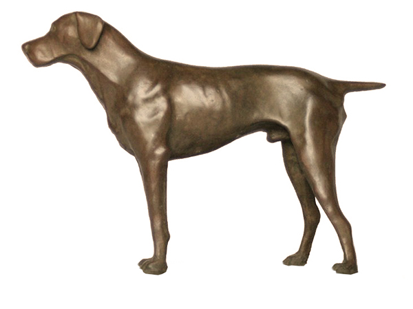 brak hond