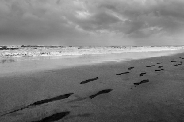 earthing aan zee