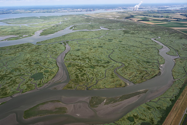 verdronken land saeftinghe